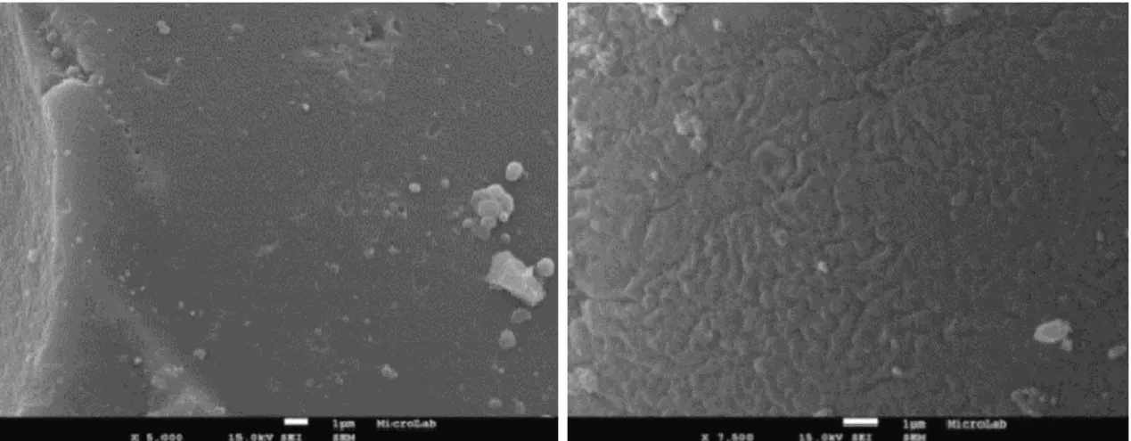 Fig. 27 -  A) SEM image of a silica based microcapsule surface, 5000x magnification B) SEM image from  10T:10M:0G microcapsule surface, 7500x magnification