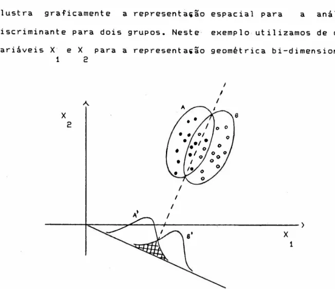 figura 4.3 Ilustra.ão gráfica da Análise Discriminante para dois grupos.