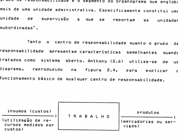 figura 2.4 Caracteristicas dos Centros de Responsabilidade.