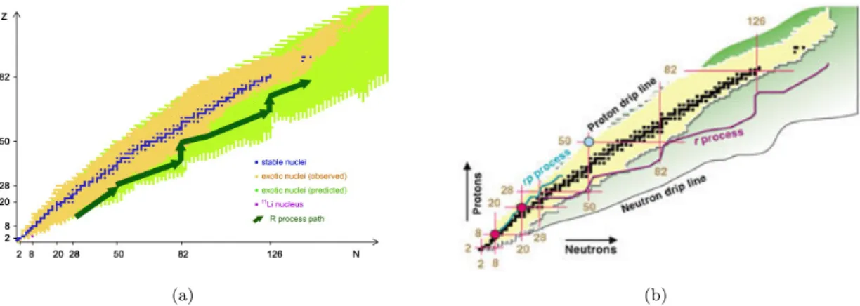 Figure 1.3: Exotic Nuclei Map. The figure (a) shows the different nuclides present in nuclei map in relevant importance to stable nuclei and exotic nuclei