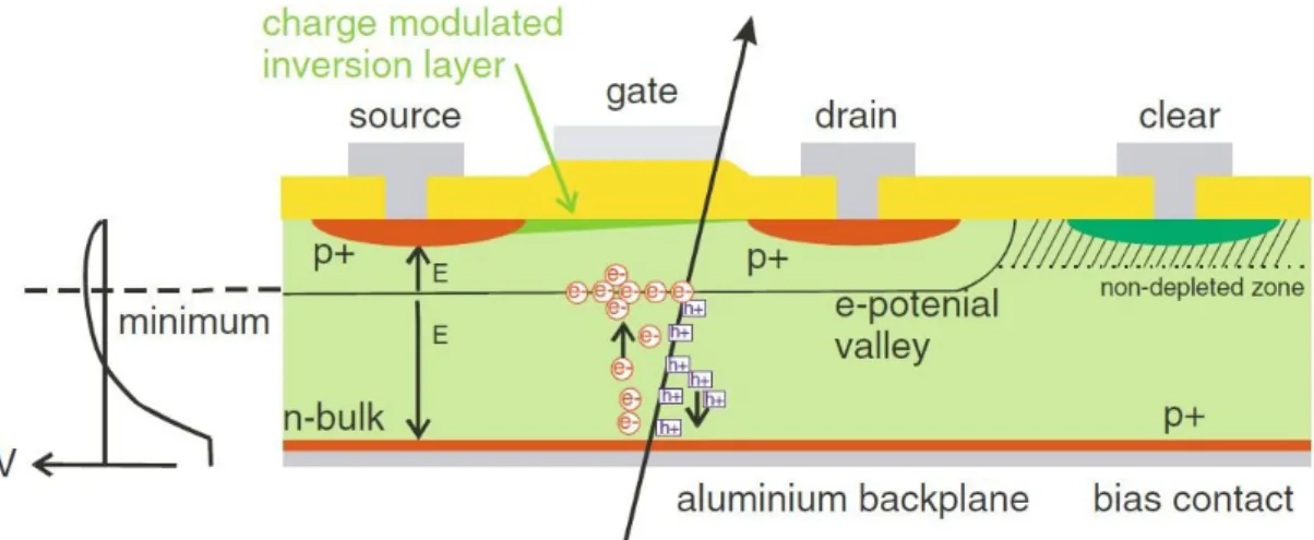 Figure 3.1: Schematic representation of a Silicon detector. The volume is depleted from the side n+ strips down to the back p+ implantation side [21].