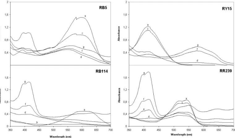 Figure III. 1.5 – Visible absorption spectrum of RB5, RY15, RB114 and RR239 decolourization by laccase  mediator system at different ABTS concentrations: (a) initial dye solution; (b) 0.001 mM; (c) 0.01 mM; (d) 