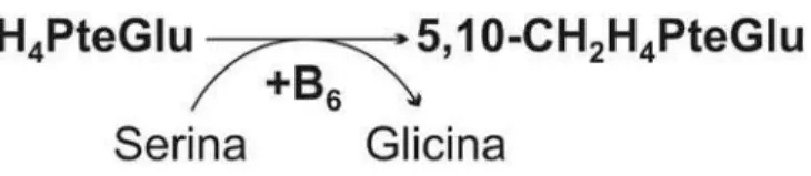 Figura 6 - Conversão da Serina em Glicina. 