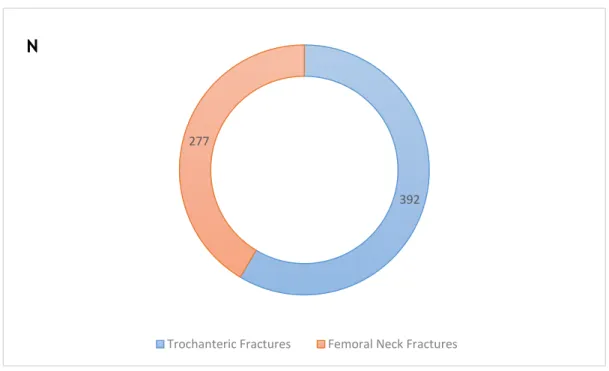 Fig. 1 - Graph showing the Hip Fracture Classification and distribution of the study group