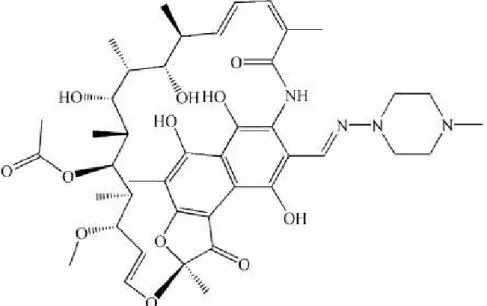 Figura 5 -  Estrutura química da molécula de rifampicina. Um dos princípios ativos do 2 em 1, 