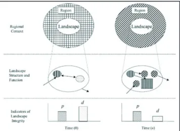 Figure 3: Diagram of Regional Context, Landscape Structure and Function, and  Landscape Integrity at two time steps (Liu and Taylor, 2002)