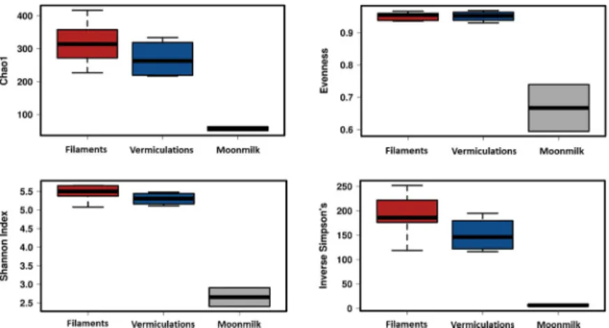 Fig 4. Diversity indices of the different biofilms from Fetida Cave. The three different box plots include the data corresponding to all the samples representing each biofilm/deposit