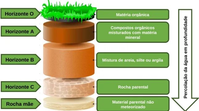 Figura 6. Esquema representativo dos horizontes do solo e da sua composição, bem como do sentido da filtração da  água pelo solo.