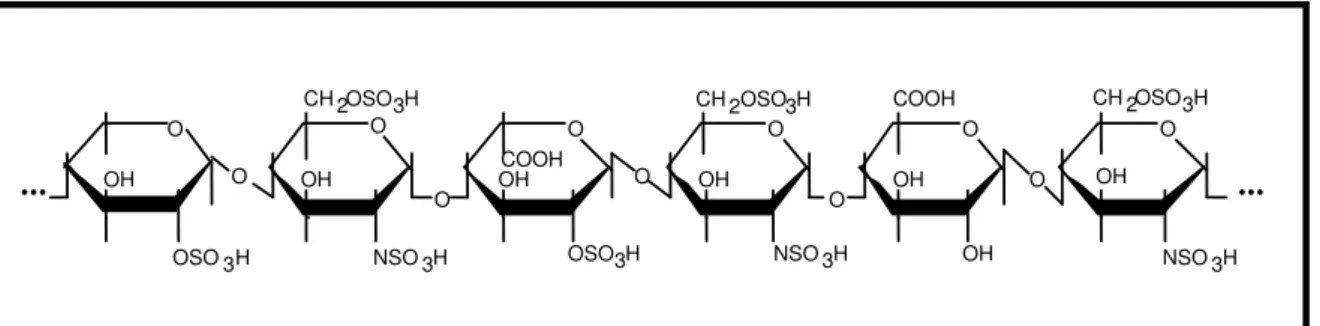 Figura 2. Unidade hexassacarídica básica da heparina. A unidade estrutural básica da 