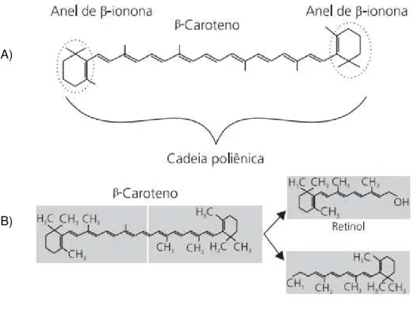 Figura 2- Características do  β-caroteno  quanto a estrutura química (A) e rompimento  formando duas moléculas de retinol (B)