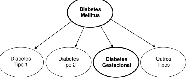 Figura 5. Esquema representativo da classificação da diabetes mellitus de acordo  com a  American Diabetes Association (ADA, 2011).
