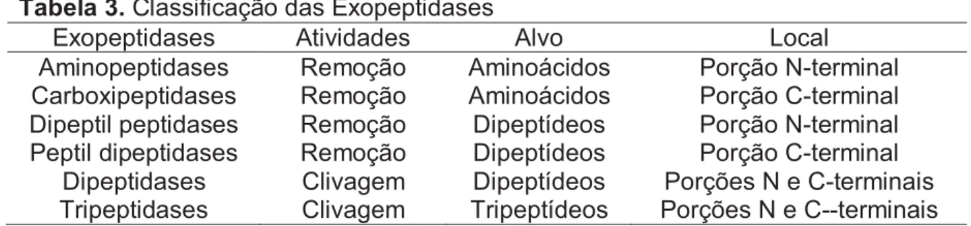 Tabela 3. Classificação das Exopeptidases 