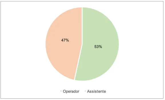 Gráfico 2 - Número total de consultas como operador e assistente. 