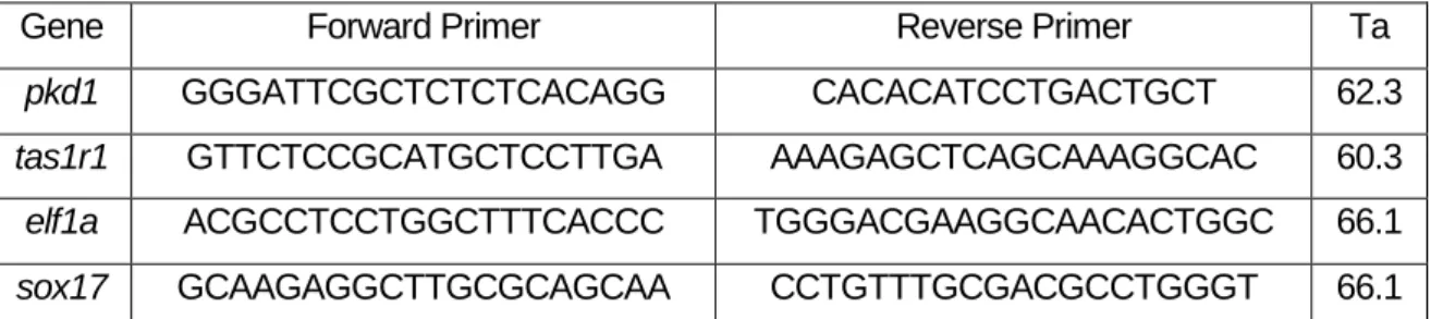 Tabela 2.1 Nucleotide sequence of the primers (forward and reverse)  used in qPCR assays for each  gene in study and respective annealing temperatures (Ta)
