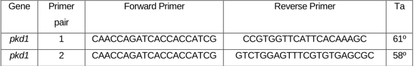 Tabela  2.2  Nucleotide  sequence  of  the  primers  (forward  and  reverse)  used  in  RT-PCR  assays  and  respective annealing temperatures (Ta)