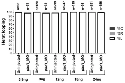 Figure 3.5 Heart laterality of pkd1 splicingMO injected embryos. 
