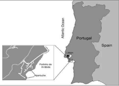 Fig. 1: Sampling site location, on the Portuguese West Coast 