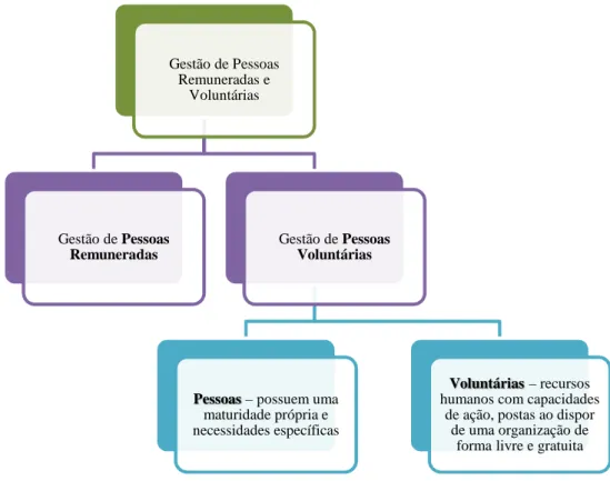 Ilustração 3: Gestão de Pessoas Remuneradas e Voluntárias 