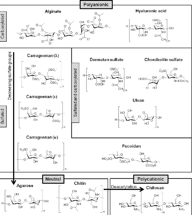 Figure 2.  Marine origin polysaccharides structures grouped according to their electrostatic nature