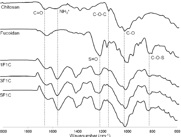 Table 5. List of the characteristic peaks of the compounds and nanoparticles determined by FTIR 