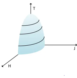 Figura 2.3 - Figura exemplificativa de como poderá ser espaço de estados T-J-H de um supercondutor