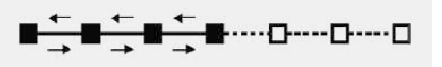 Figure 2.3: Scenario 1 (source: Ambrosino et al., 2004) 