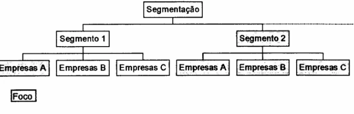 Figura 8 - Segmentação e Foco da Empresa 5