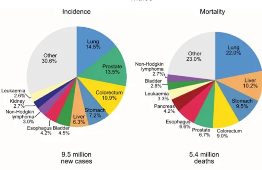 Figure 1: Pie charts present the distribution of cases and deaths for the ten most common cancers  in 2018 for males worldwide