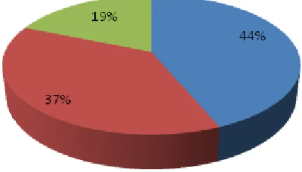 Gráfico 1. Escolaridade dos Entrevistados 