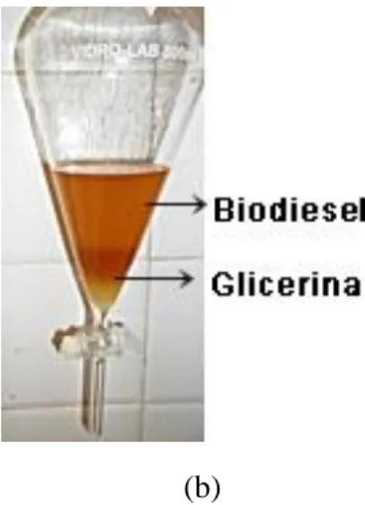 Figura 4. (a) Sistema de reação; e (b) Separação das fases do biodiesel e glicerina após  transesterificação do óleo de fritura com o etanol