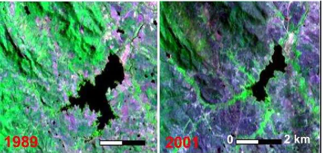 Figura 5. Imagens de satélite  ® LandSat do açude de Lucrécia e região durante as  estações de seca em agosto de 1989 e 2001 (Serra et al., 2006)