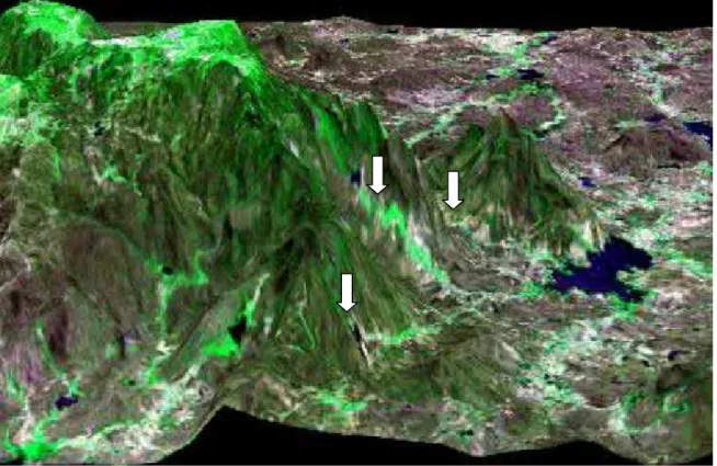 Figura  6.  Imagem  de satélite  ® LandSat  em três dimensões (3D) mostrando  a  geomorfologia da área de entorno do açude de Lucrécia e  a  inserção de seus  afluentes (setas) no relevo acentuado da região