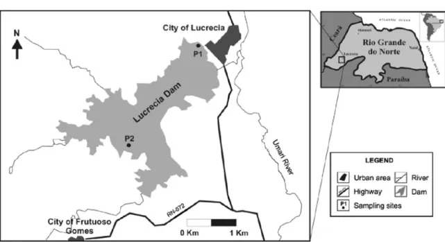 Fig. 1.  Location of the Lucrecia dam study area in the western region of Rio Grande do Norte – Brazil