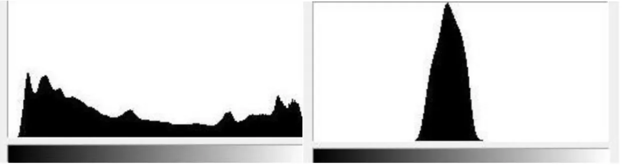 Figura 1.3.9  – Diferença entre histogramas que representam a presença de uma imagem com  contraste (esq.) e de uma imagem sem contraste (dir.) 