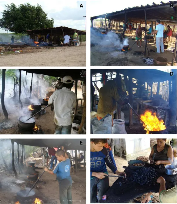 Figura  3.  (A-E)  Processo  de  queima  da  castanha  de  caju  na  comunidade  do 