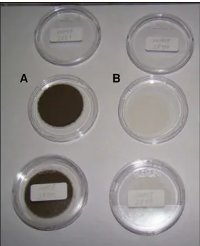 Figura 10. Filtros de policarbonato usados no amostrador Mini-sampler após campanha de 