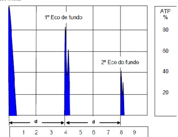 Figura 2.4 - Representação simplificada do leitor de um detetor de ultrassom [12] 