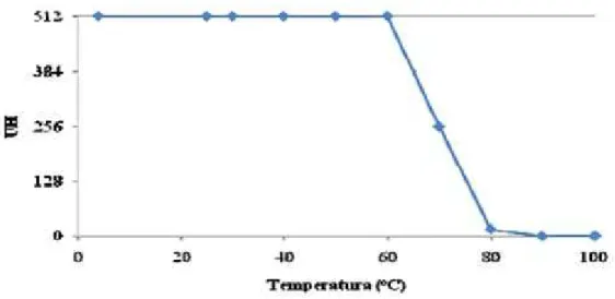 Figura 12 – Curva de termoestabilidade de CaL.  