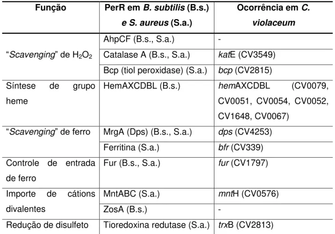Tabela  3.  Membros  do  regulon  PerR  de  B.  subtilis  e  S.  aureus.  A  ocorrência  no  genoma de C