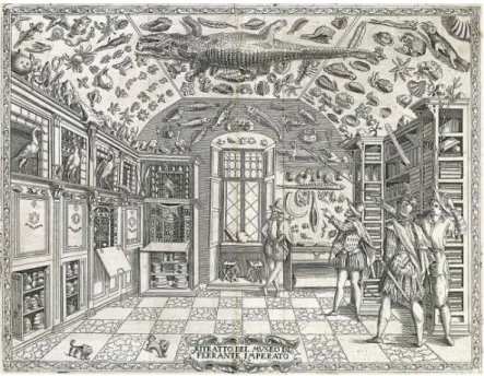 Figura 1 – Museu de Ferrante Imperato, em Nápoles - 1599.  