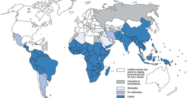 Figure 1.  Global map of malaria-free countries and malaria-endemic countries  in phases of control, pre-elimination,  elimination and prevention of reintroduction by the end of 2008 (WHO, 2009)