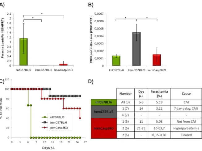 Figure 7. Immunization of Casp3KO mice with PbRAS. A) Challenged  PbGFP liver stage infection at 40h p.i., assessed by  qRT-PCR