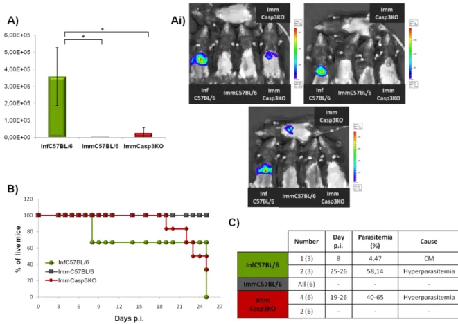 Figure 8. Immunization of Casp3KO mice with PbRAS. A) Challenged PbLuci liver stage infection at 44h p.i., assessed by  real time in vivo imaging