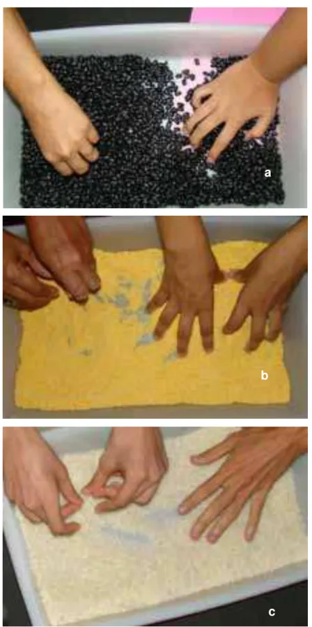 Figura 4  – Outras possibilidades para colocar nas caixas além da areia. Em (a) grãos de feijão  cru; em (b) farelo de milho e em (c) grãos de arroz cru