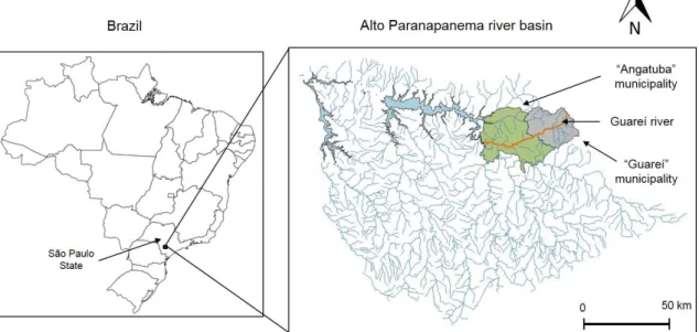 Figure  1  -  Study  area  in  the  state  of  São  Paulo,  Brazil,    Alto  Paranapanema  river  basin,  Angatuba and Guareí municipalities and Guareí river