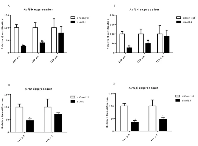 Figure  S1: Efficiency  tests  of  Arl3,  Arl8b,  Arl14  and  Arl16  silencing  in  macrophages  treated with 80ρmol of specific siRNAs for those Arls relative to macrophages treated  with  siRNA  control