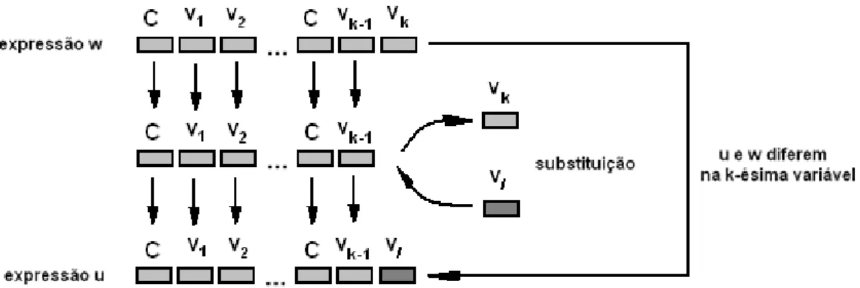Figura 13.1 – substituição de k-ésima variável de uma expressão com k variáveis (indicada abreviadamente por  v k ) por uma variável v l  tal que v k  ≠ v l 