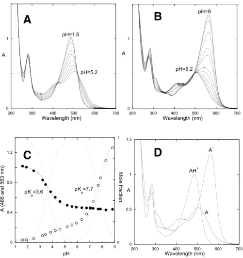 Fig. 35 - A - Spectral variations of the compound guaiacylcatechinpyrylium  (GCP) 1.6×10 -4  M (10% EtOH) immediately  after a pH jump from 1 to the range 1.6&lt;pH&lt;5.2; B - the same for 5.2&lt;pH&lt;9; C - Fitting of the absorption at 485 nm and  563  