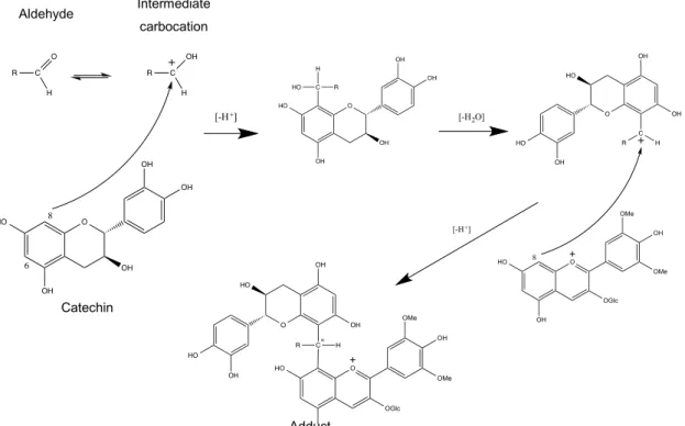 Fig.  14  -  Formation  mechaninsm  of  malvidin  3-glucoside-alkyl/aryl-catechin  adducts  (adapted  from  (Bendz,  Martenss  1967))