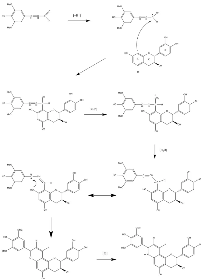 Fig. 16 - Hypothetic mechanism for the formation of catechin-pyrylium pigment obtained from catechin and sinapaldehyde  (adapted from de Freitas, 2004)